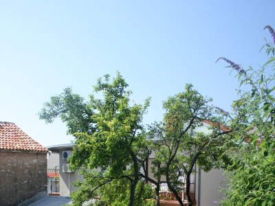 Apartment Two bedroom apartment with terrace Selce, Crikvenica A-5366-b - Outdoor photo 6