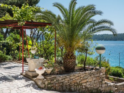 Apartment One bedroom apartment near beach Mali Lošinj, Lošinj A-5391-c - Outdoor photo 11