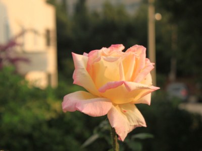 Apartment Studio flat with terrace Dubrovnik AS-8593-b - Outdoor photo 12