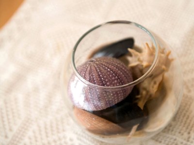 Apartment Studio flat with terrace Dubrovnik AS-8593-b - Outdoor photo 17