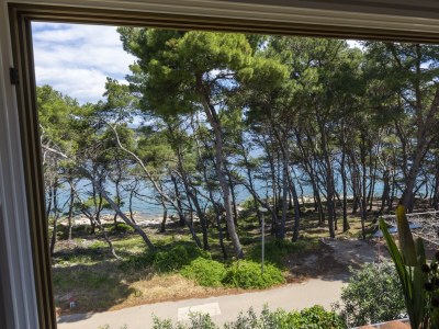Apartment One bedroom apartment with terrace and sea view Jelsa, Hvar A-8729-a - Outdoor photo 28