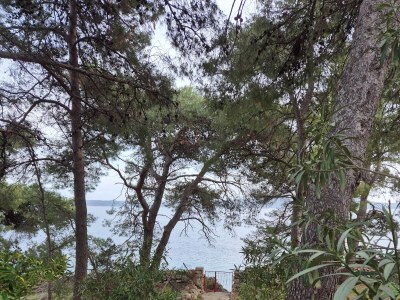 Apartment One bedroom apartment near beach Zavala, Hvar A-8774-b - Outdoor photo 7