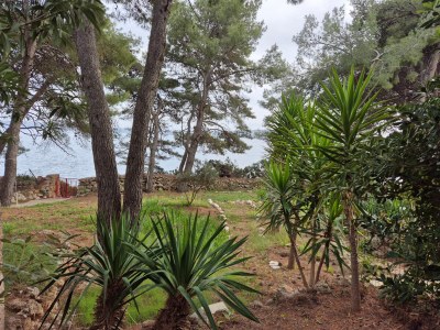 Apartment One bedroom apartment near beach Zavala, Hvar A-8774-b - Outdoor photo 8