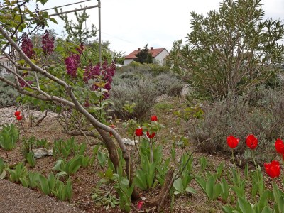 Apartment One bedroom apartment with balcony and sea view Punat, Krk A-5410-b - Outdoor photo 9