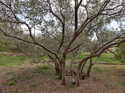 Apartment One bedroom apartment with balcony and sea view Punat, Krk A-5410-b - Outdoor photo 11