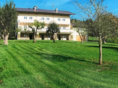 Holiday house Villa in Bayern nahe Skiloipen & Sauna - Outdoor photo 4