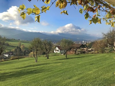 Holiday house Villa in Bayern nahe Skiloipen & Sauna - Outdoor photo 7