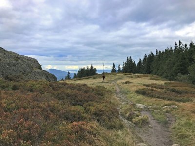 Holiday house Villa in Bayern nahe Skiloipen & Sauna - Environment photo 34