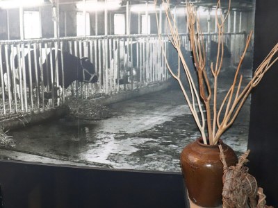 Apartment Beautifully styled apartment - Outdoor photo 28