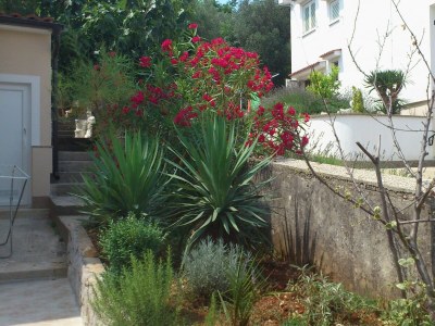 Apartment One bedroom apartment with terrace and sea view Čižići, Krk A-5469-a - Outdoor photo 4