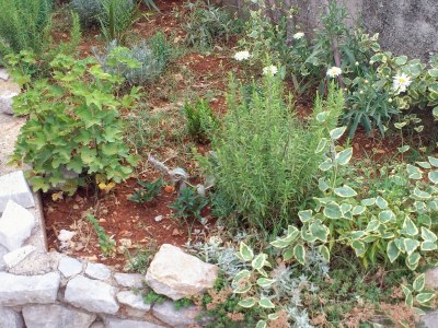 Apartment One bedroom apartment with terrace and sea view Čižići, Krk A-5469-a - Outdoor photo 7