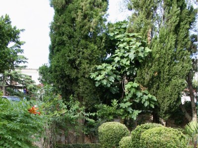 Apartment Apartments with parking space Selce, Crikvenica - 5531 - Apartments with parking space Selce, Crikvenica - 5531 - Outdoor photo 6