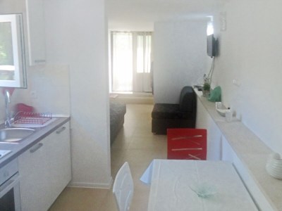 Apartment Apartments with parking space Selce, Crikvenica - 5531 - Apartments with parking space Selce, Crikvenica - 5531 - Outdoor photo 14