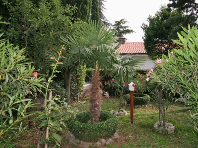 Apartment Apartments with parking space Selce, Crikvenica - 5531 - Apartments with parking space Selce, Crikvenica - 5531 - Outdoor photo 20