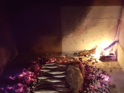 Apartment Two bedroom apartment near beach Cove Zaglav, Korčula A-12208-a - Outdoor photo 10