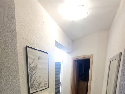 Apartment Two bedroom apartment with terrace Sumartin, Brač A-11926-a - Outdoor photo 30