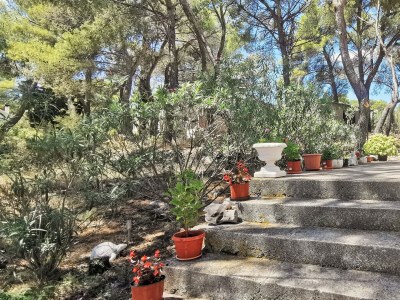 Holiday house Two bedroom house with terrace and sea view Sumartin, Brač K-12047 - Outdoor photo 4
