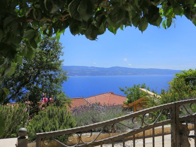 Apartment Two bedroom apartment with terrace and sea view Zavode, Omiš A-12075-a - Outdoor photo 28