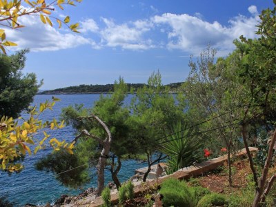 Apartment One bedroom apartment near beach Gršćica, Korčula A-9228-b - Outdoor photo 10