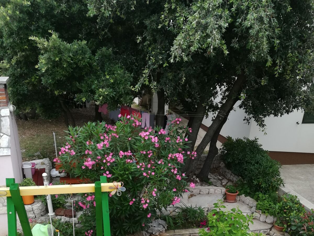 Apartment Apartments for families with children Mandre, Pag - 12125 - Apartments for families with children Mandre, Pag - 12125 - Outdoor photo 2