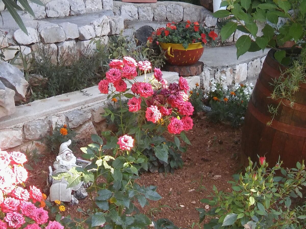 Apartment Apartments for families with children Mandre, Pag - 12125 - Apartments for families with children Mandre, Pag - 12125 - Outdoor photo 4