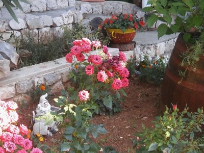 Apartment Apartments for families with children Mandre, Pag - 12125 - Apartments for families with children Mandre, Pag - 12125 - Outdoor photo 4