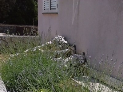 Apartment Apartments for families with children Mandre, Pag - 12125 - Apartments for families with children Mandre, Pag - 12125 - Outdoor photo 7