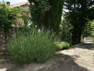 Apartment Apartments with parking space Dramalj, Crikvenica - 5534 - Apartments with parking space Dramalj, Crikvenica - 5534 - Outdoor photo 8