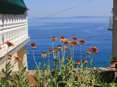 Apartment Two bedroom apartment near beach Savar, Dugi otok A-8079-c - Outdoor photo 9