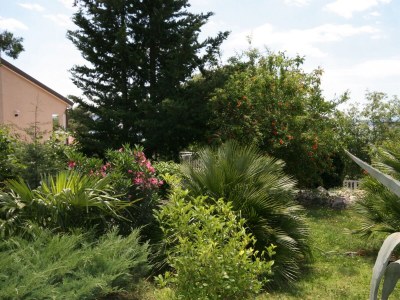 Apartment Apartments with parking space Dramalj, Crikvenica - 5534 - Apartments with parking space Dramalj, Crikvenica - 5534 - Outdoor photo 27