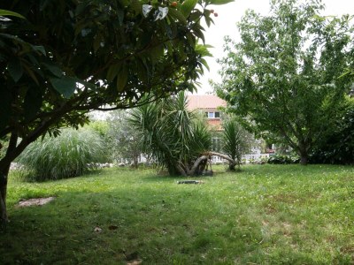 Apartment Apartments with parking space Dramalj, Crikvenica - 5534 - Apartments with parking space Dramalj, Crikvenica - 5534 - Outdoor photo 28