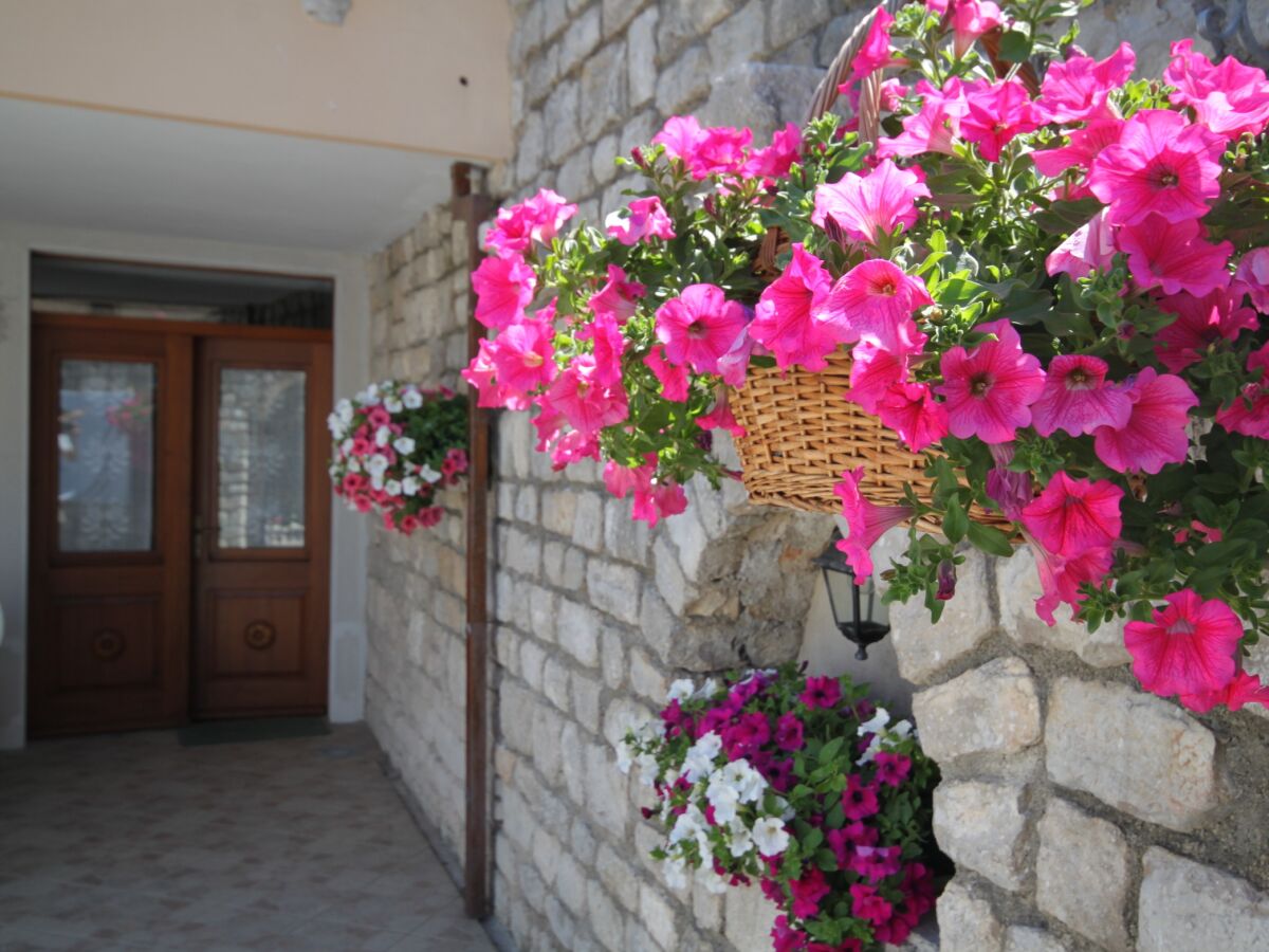 Apartment Apartments by the sea Osor, Lošinj - 8088 - Outdoor photo 5