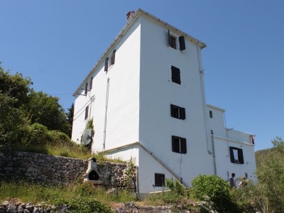 Apartment Apartments with WiFi Beli, Cres - 8094 - Apartments with WiFi Beli, Cres - 8094 in Beli - Apartment