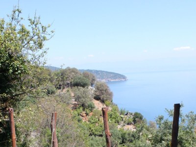 Apartment Apartments with WiFi Beli, Cres - 8094 - Apartments with WiFi Beli, Cres - 8094 - Outdoor photo 7