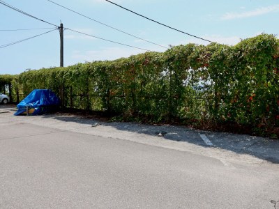 Apartment Three bedroom apartment with terrace and sea view Dramalj, Crikvenica A-5592-b - Outdoor photo 12