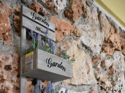 Apartment Studio flat near beach Lumbarda, Korčula AS-4385-b - Outdoor photo 8