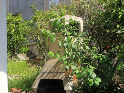 Apartment One bedroom apartment near beach Lumbarda, Korčula A-4440-b - Outdoor photo 14