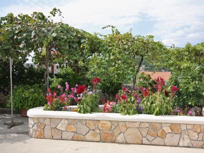Apartment One bedroom apartment with terrace Sumartin, Brač A-5620-b - Outdoor photo 19
