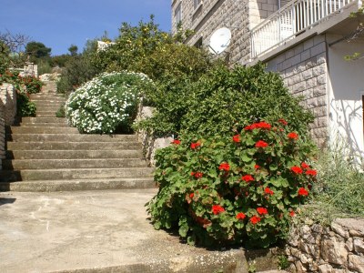 Apartment Two bedroom apartment near beach Lumbarda, Korčula A-4440-d - Outdoor photo 12