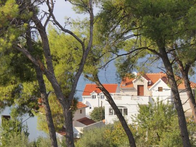 Apartment One bedroom apartment with balcony and sea view Sutivan, Brač A-5629-b - Outdoor photo 18