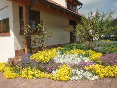 Apartment Appartement/Fewo 1 "Jüngstberg" - Outdoor photo 3