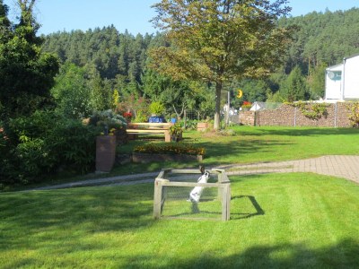 Apartment Appartement/Fewo 1 "Jüngstberg" - Outdoor photo 6