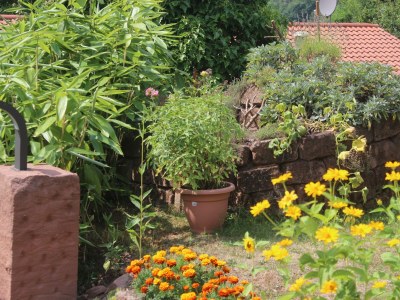 Apartment Appartement/Fewo 1 "Jüngstberg" - Outdoor photo 7