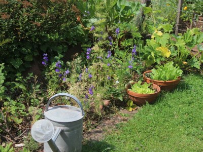 Apartment Appartement/Fewo 1 "Jüngstberg" - Outdoor photo 8