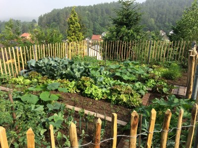 Apartment Appartement/Fewo 1 "Jüngstberg" - Outdoor photo 9