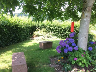 Apartment Appartement/Fewo 1 "Jüngstberg" - Outdoor photo 13