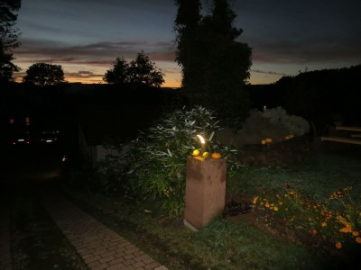 Apartment Appartement/Fewo 1 "Jüngstberg" - Outdoor photo 16