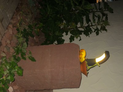 Apartment Appartement/Fewo 1 "Jüngstberg" - Outdoor photo 18