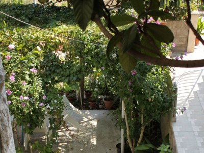 Apartment One bedroom apartment with terrace Postira, Brač A-5659-b - Outdoor photo 14