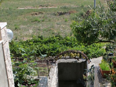 Apartment One bedroom apartment with terrace Postira, Brač A-5659-b - Outdoor photo 15